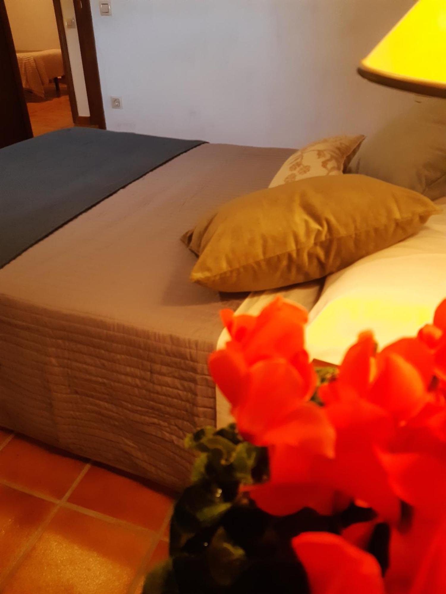 Ferienwohnung Musas Gastro Casa Rural Valdealgorfa Exterior foto
