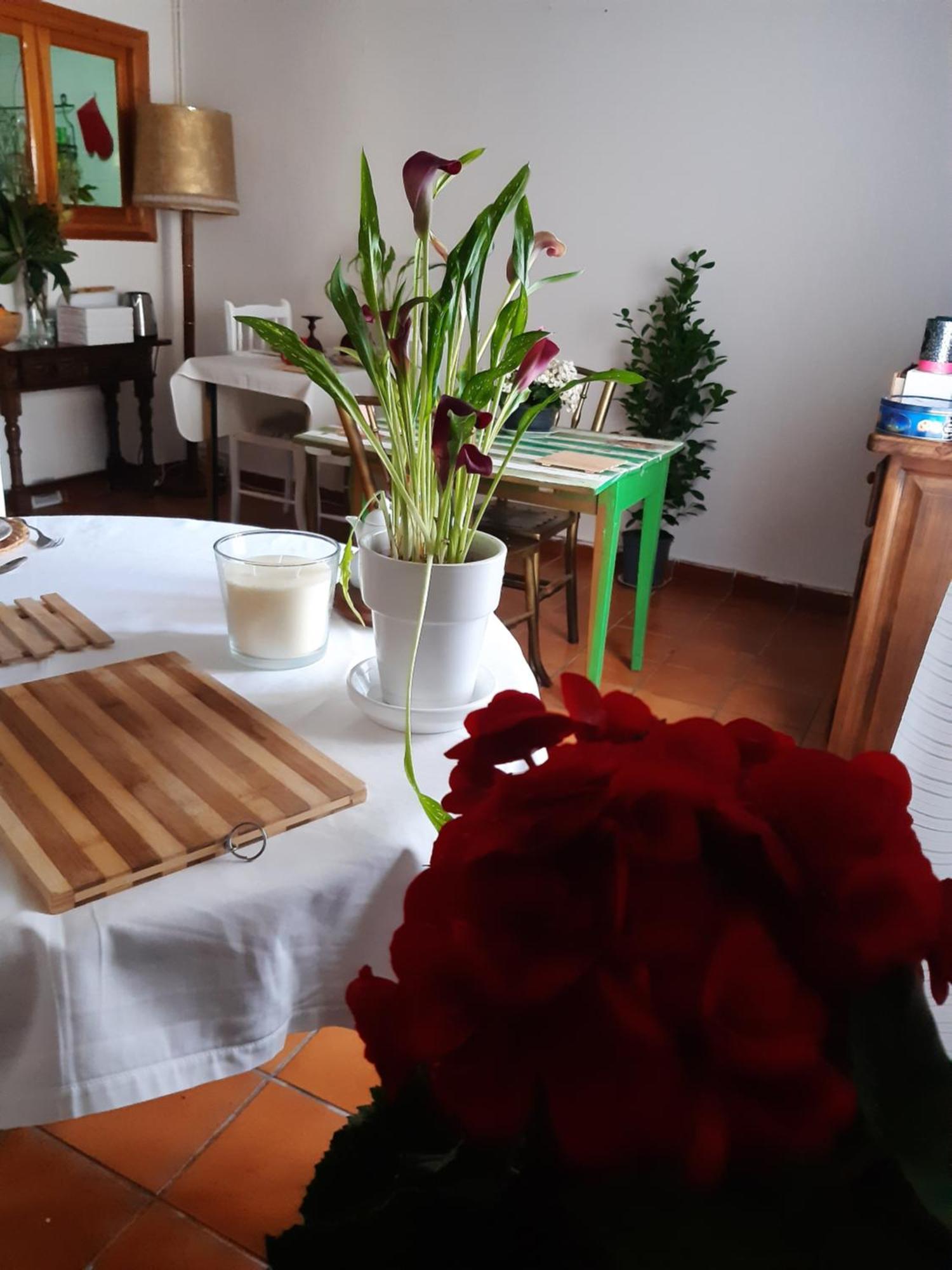 Ferienwohnung Musas Gastro Casa Rural Valdealgorfa Exterior foto