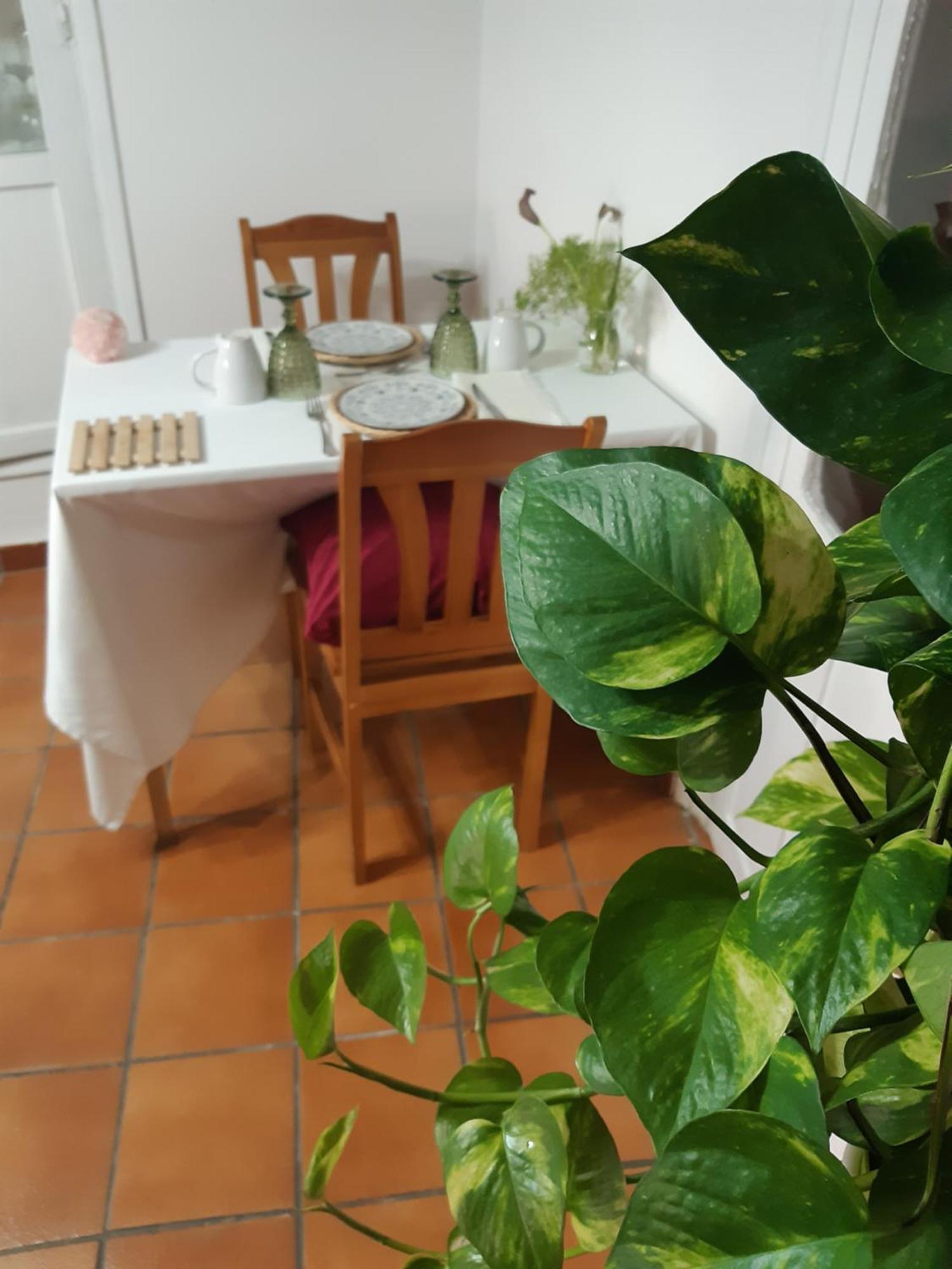 Ferienwohnung Musas Gastro Casa Rural Valdealgorfa Exterior foto