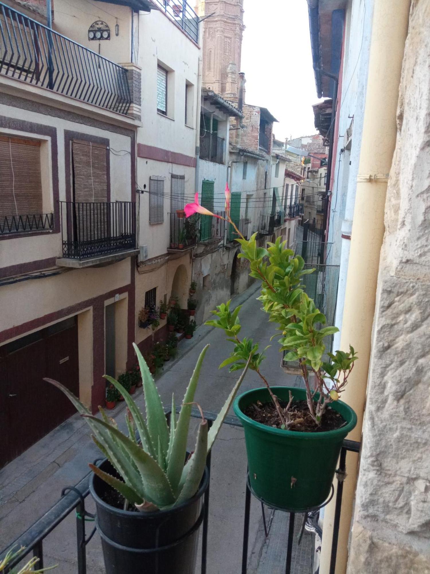 Ferienwohnung Musas Gastro Casa Rural Valdealgorfa Exterior foto