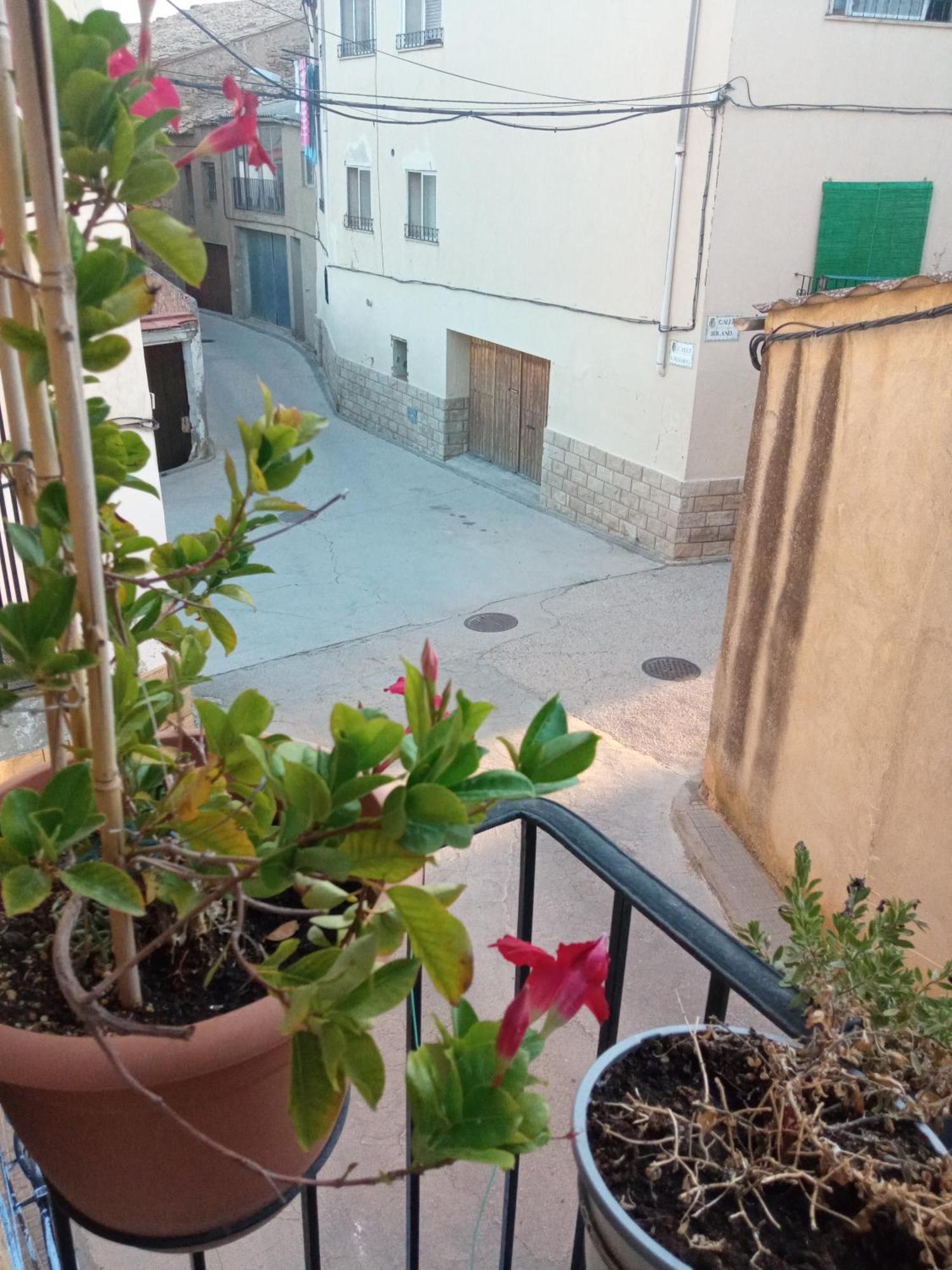 Ferienwohnung Musas Gastro Casa Rural Valdealgorfa Exterior foto